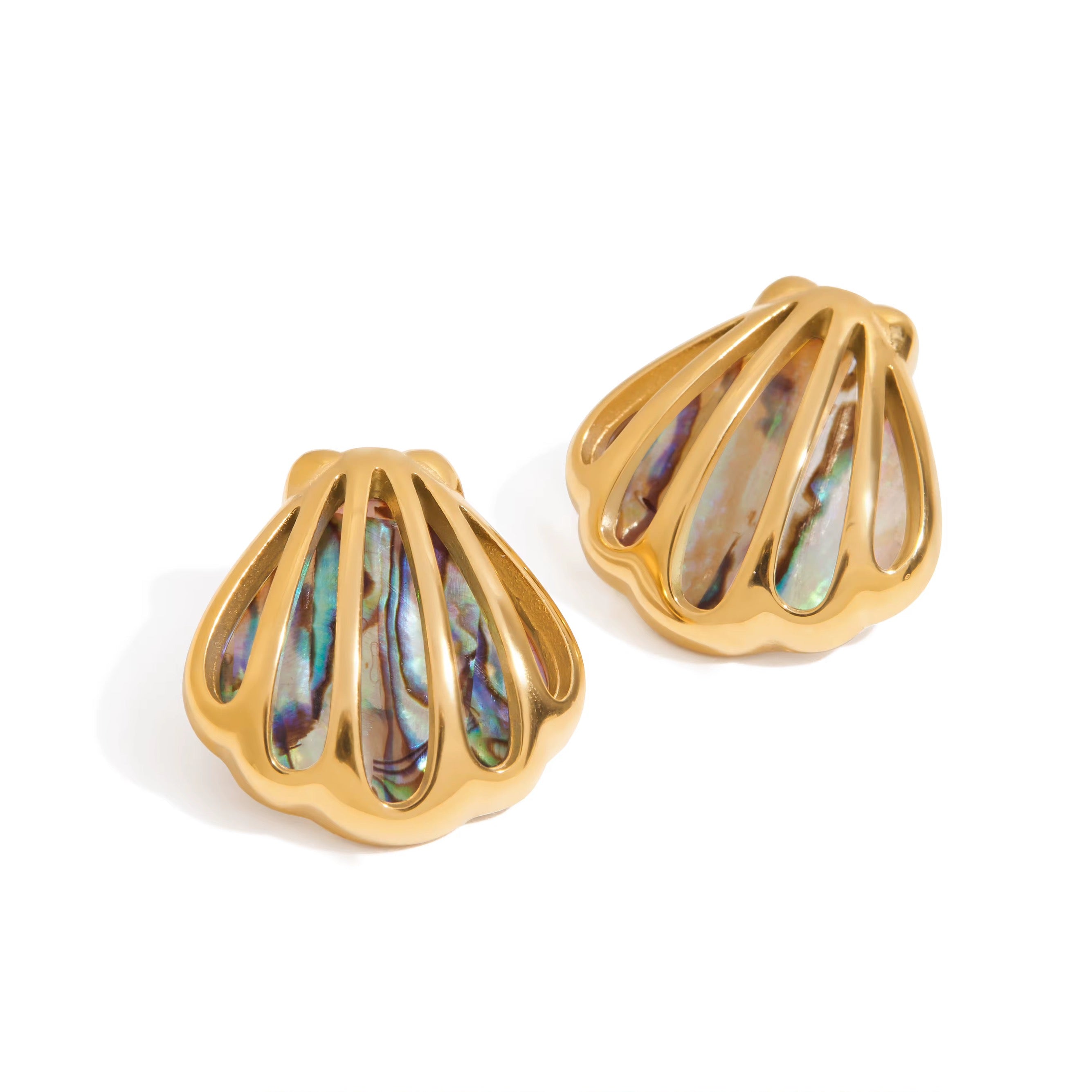 Sea Shell Earrings